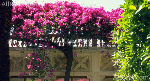 Grand Hotel Timeo 18